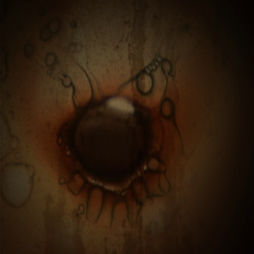 Forbidden Siren: Viviendo la Pesadilla screenshot 2 for Playstation 2
